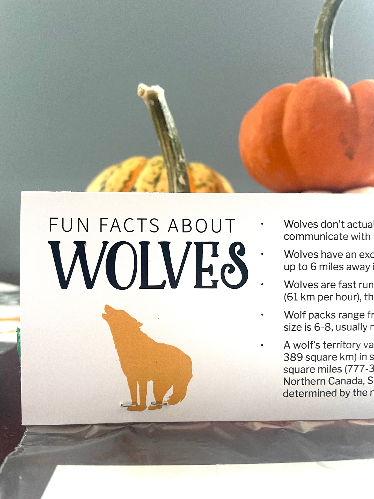 Halloween Boo Bag Toppers - Animal Fun Facts
