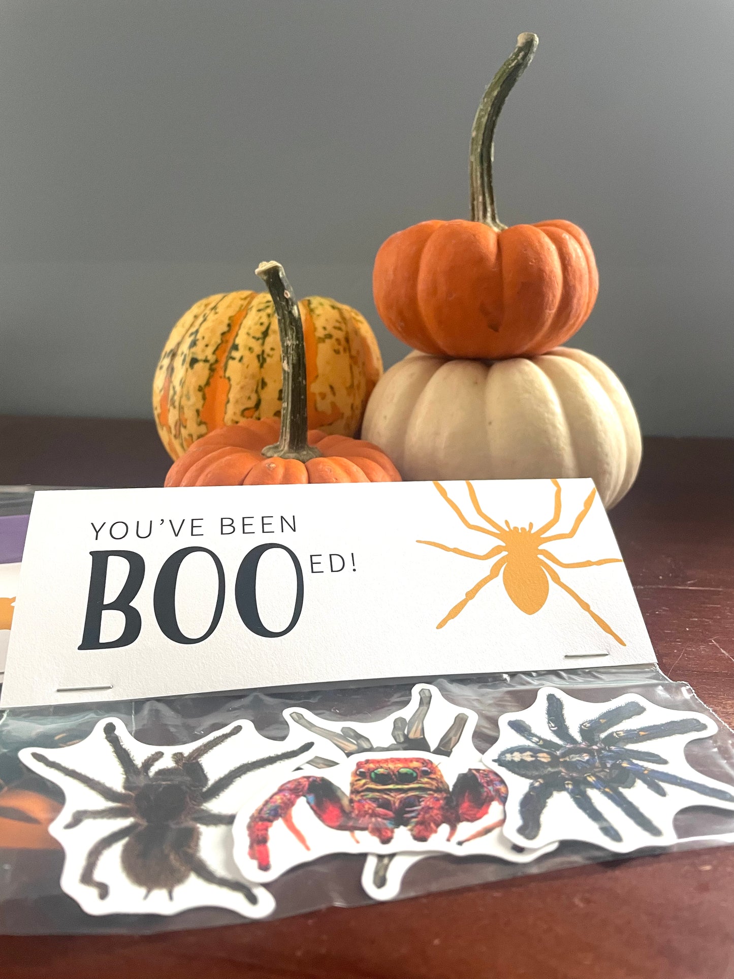 Halloween Boo Bag Toppers - Animal Fun Facts