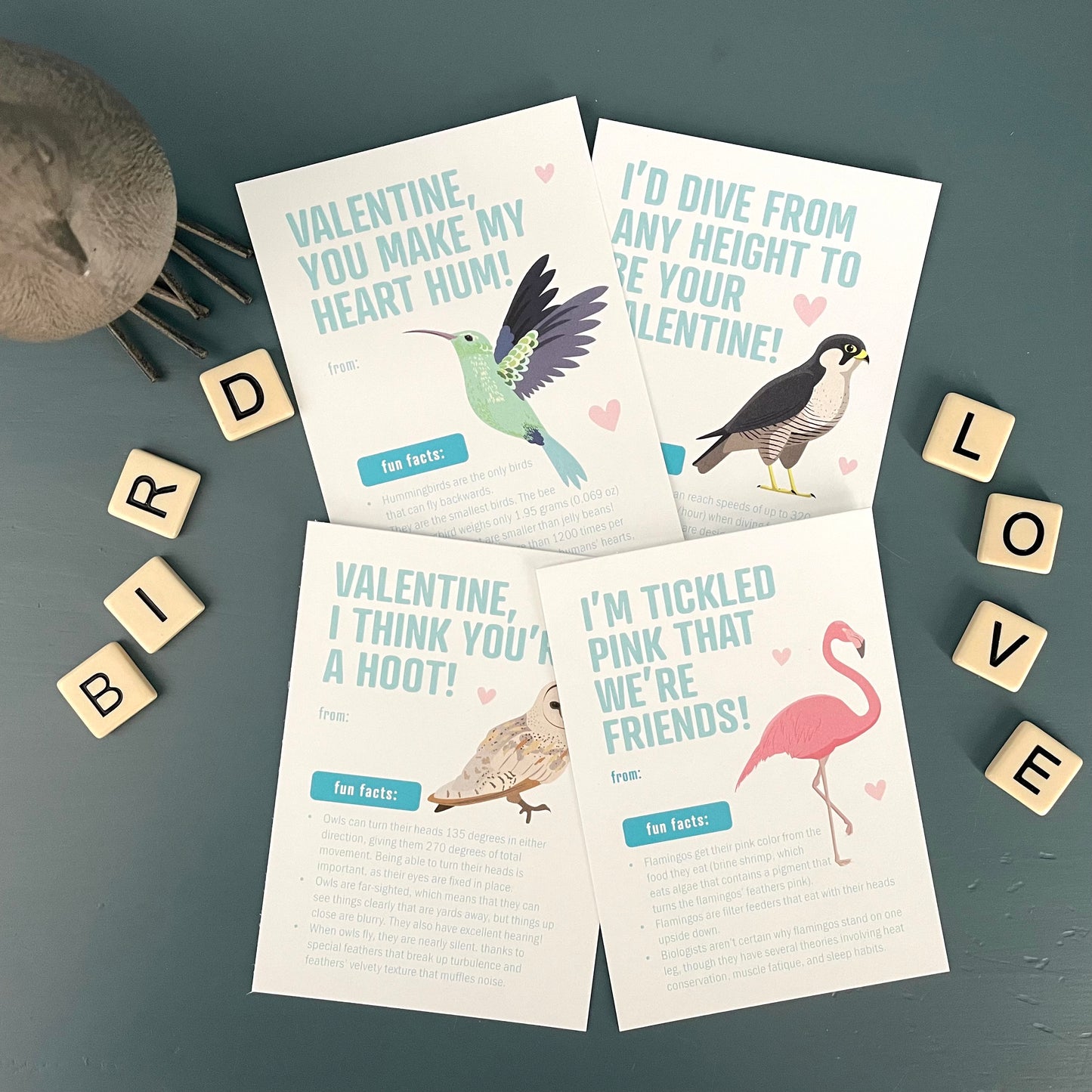 Valentines - Bird Fun Facts - printable