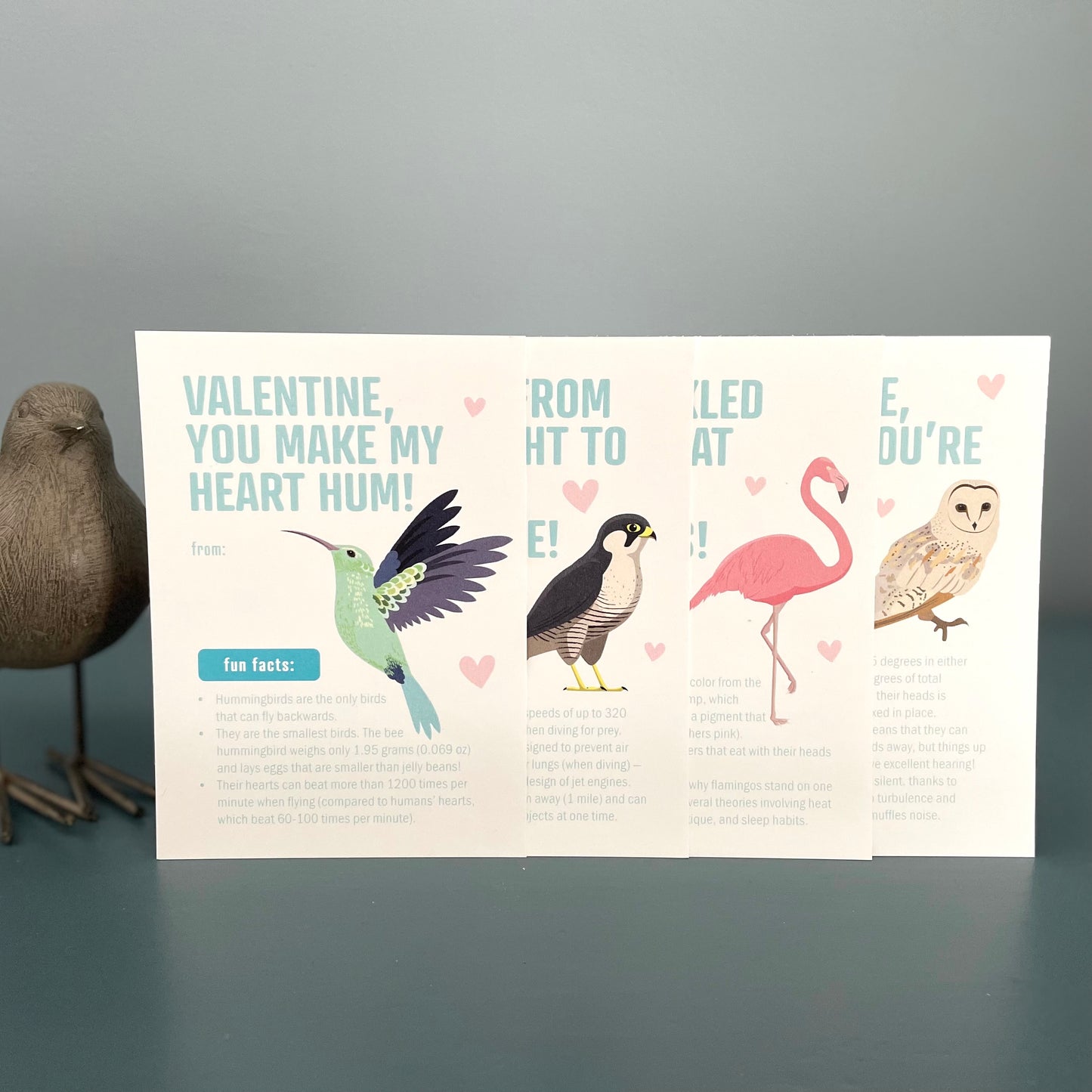 Valentines - Bird Fun Facts - printable