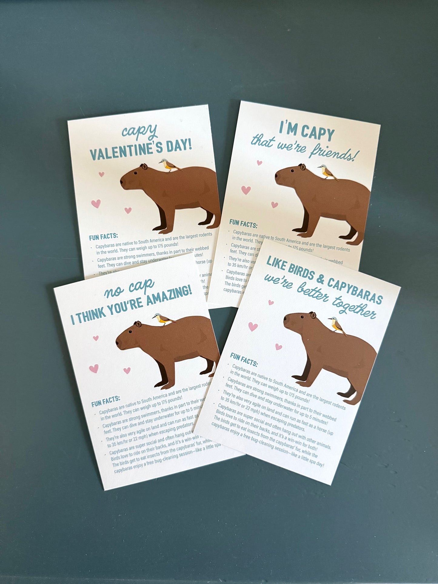 Valentines - Capybara Fun Facts - printable