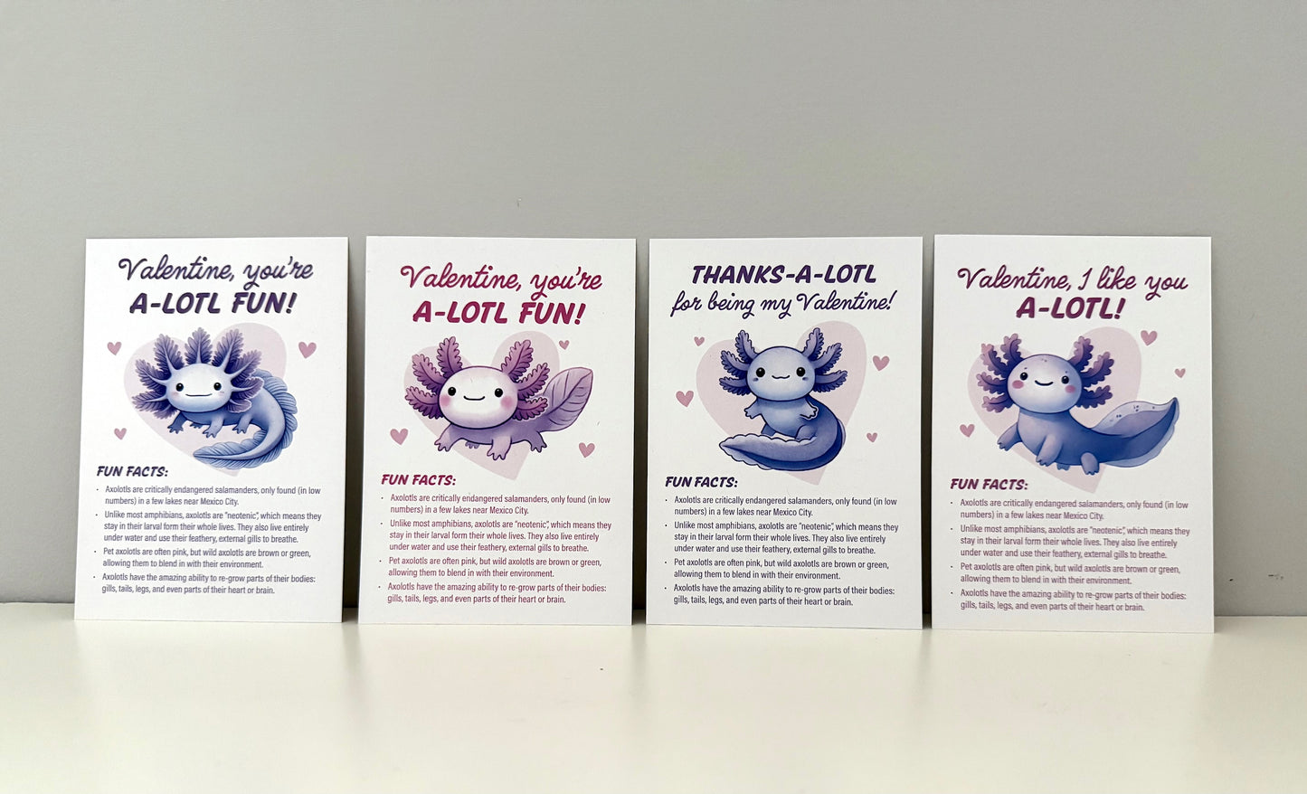 Valentines - Axolotl Fun Facts - printable