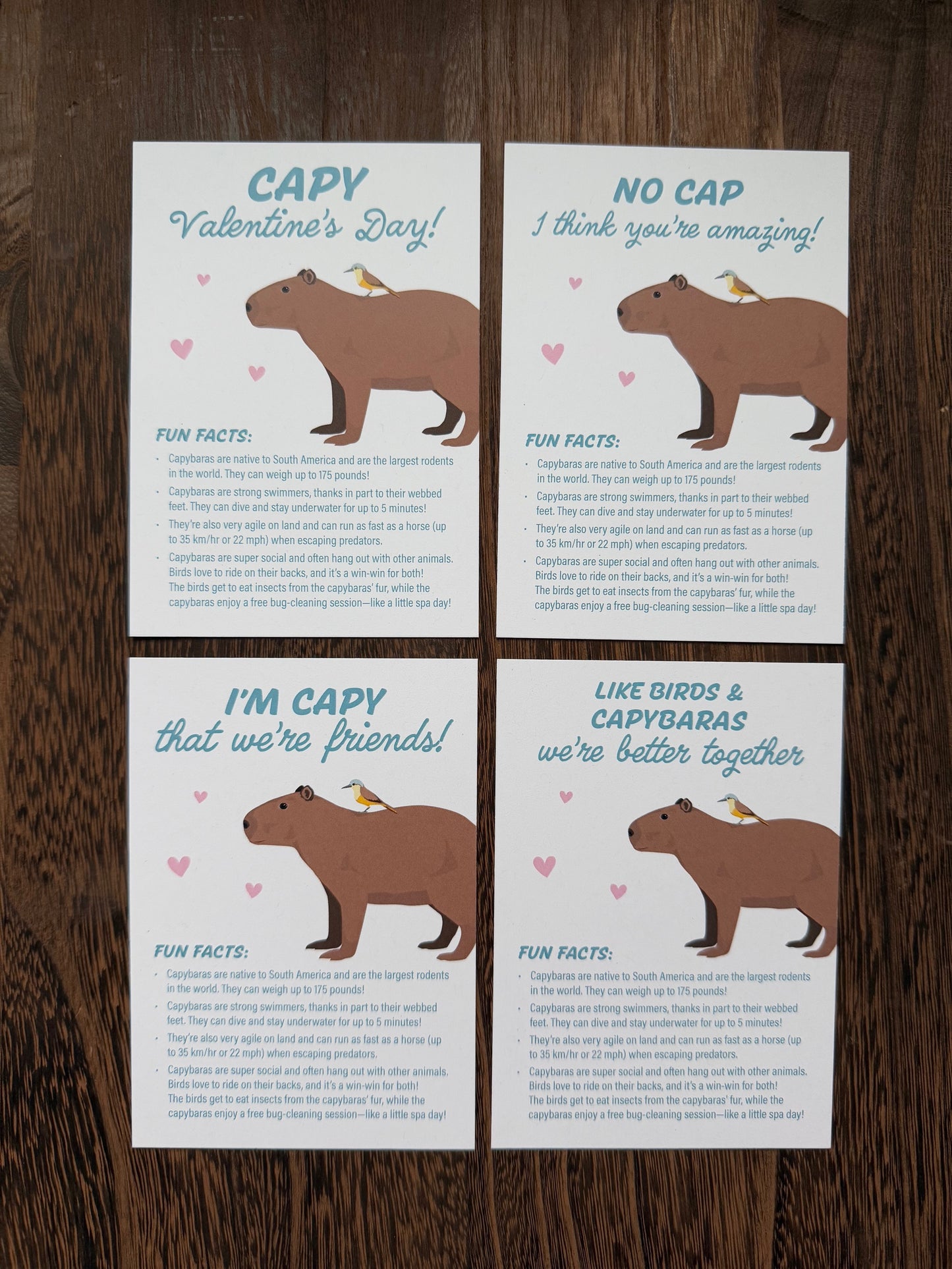 Valentines - Capybara Fun Facts - printable