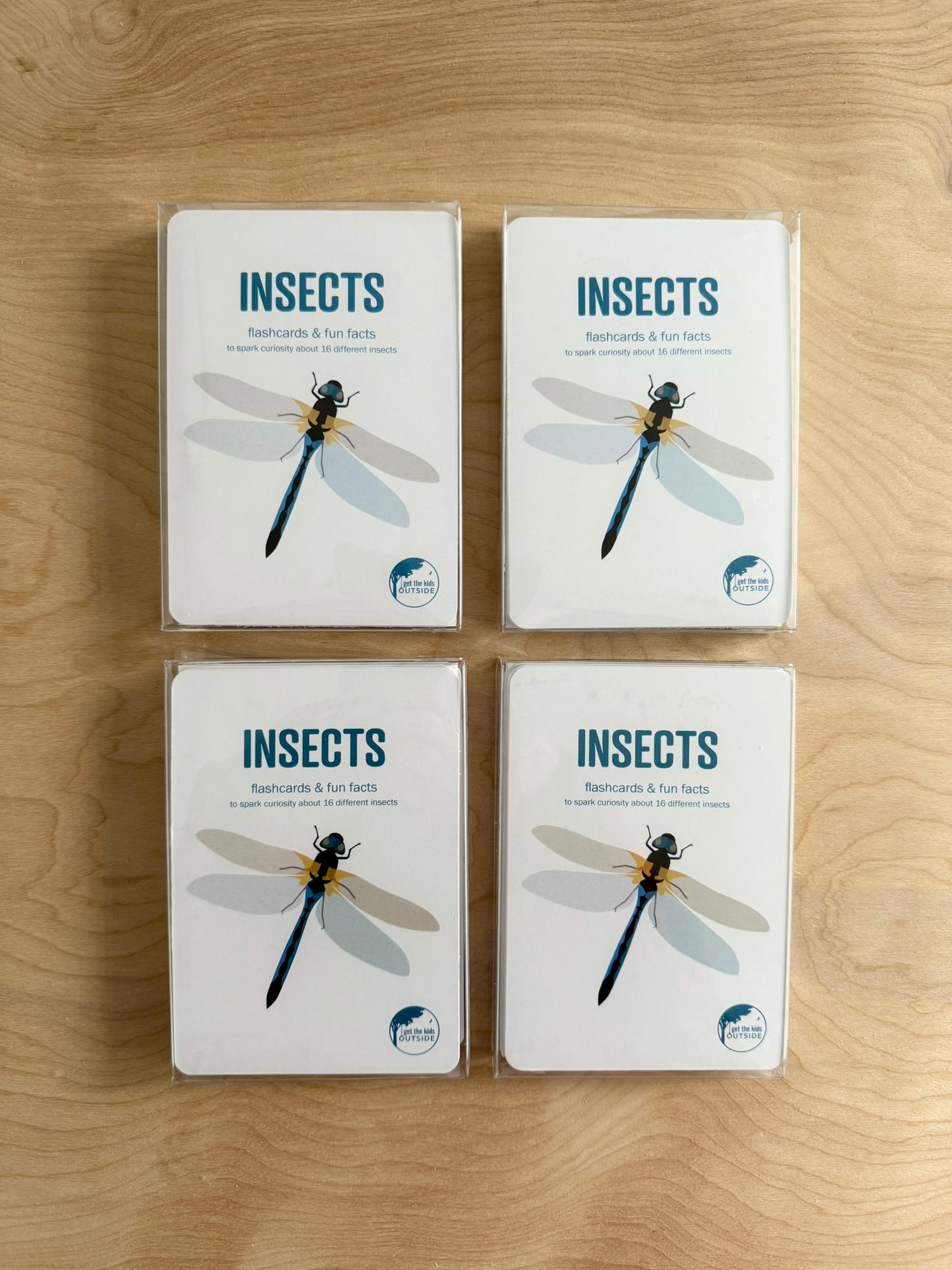 Insect Flashcards w/ fun facts - printed