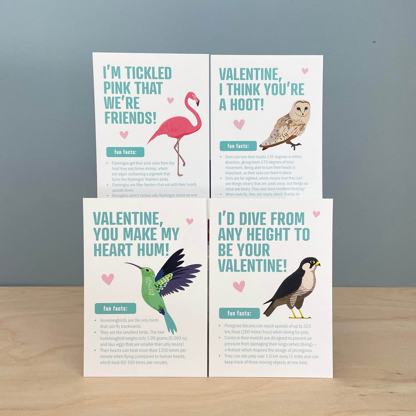 Valentines - Bird Fun Facts - printed (set of 12)