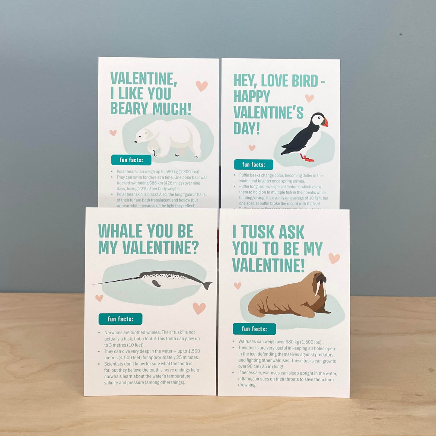 Valentines - Arctic Animal Fun Facts - printable