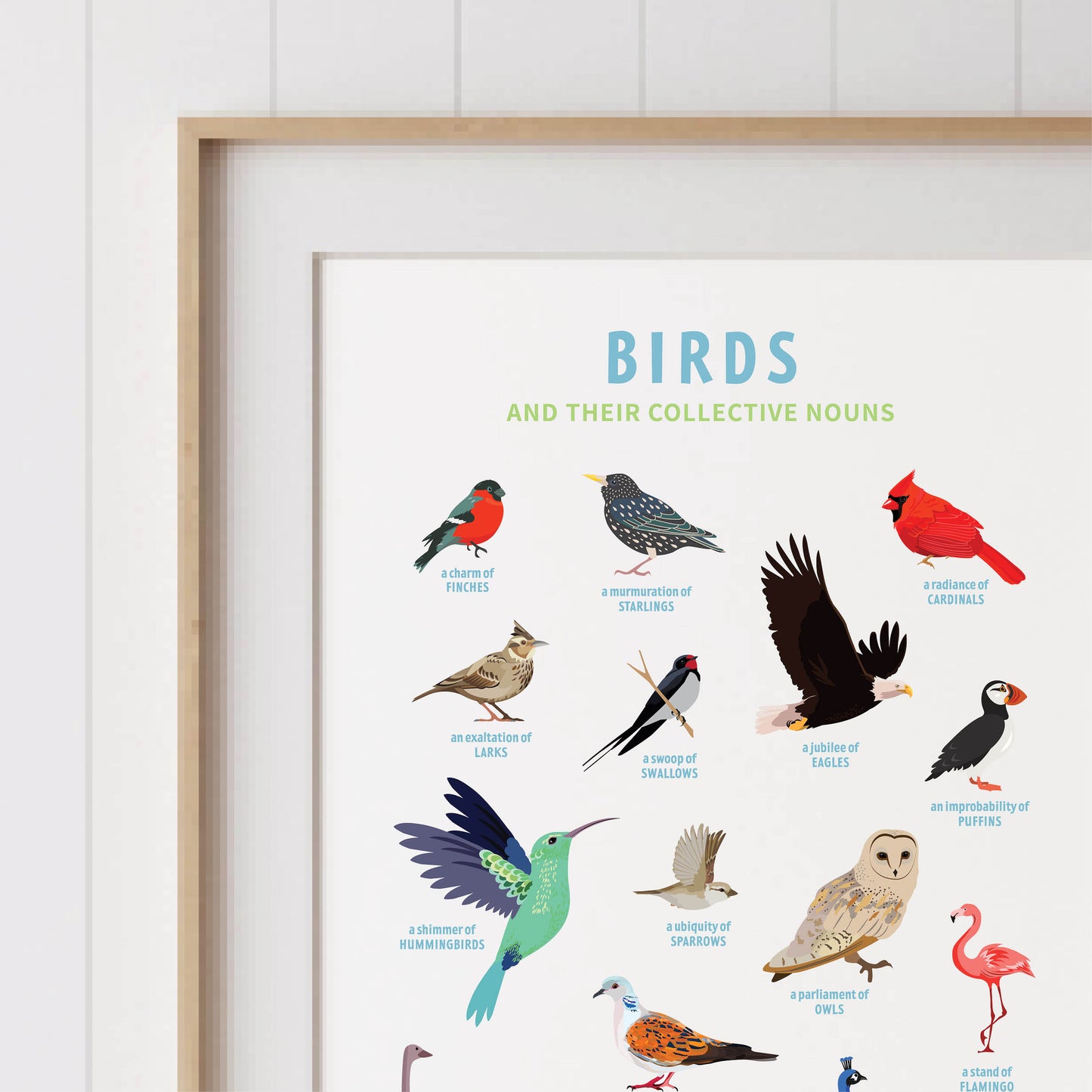 Collective Nouns Poster (Birds) - digital