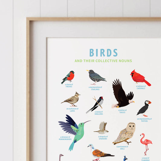Collective Nouns Poster (Birds) - digital