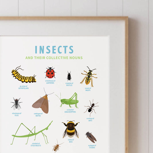 Collective Nouns Poster (Insects) - digital