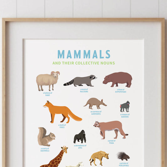 Collective Nouns Poster (Mammals) - digital