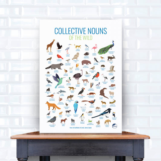 Collective Nouns Poster (Animals)