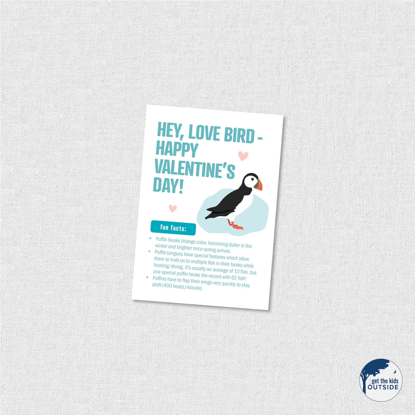 Valentines - Arctic Animal Fun Facts - printable