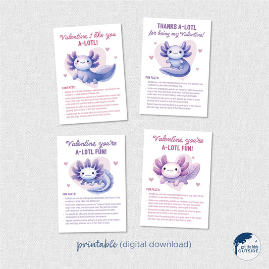 Valentines - Axolotl Fun Facts - printable