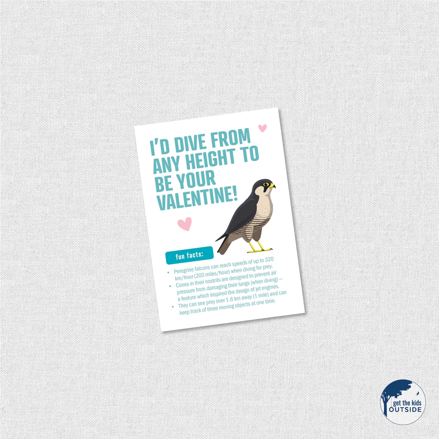 Valentines - Bird Fun Facts - printable