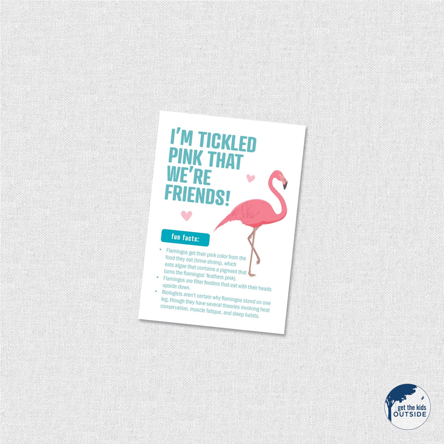 Valentines - Bird Fun Facts - printable