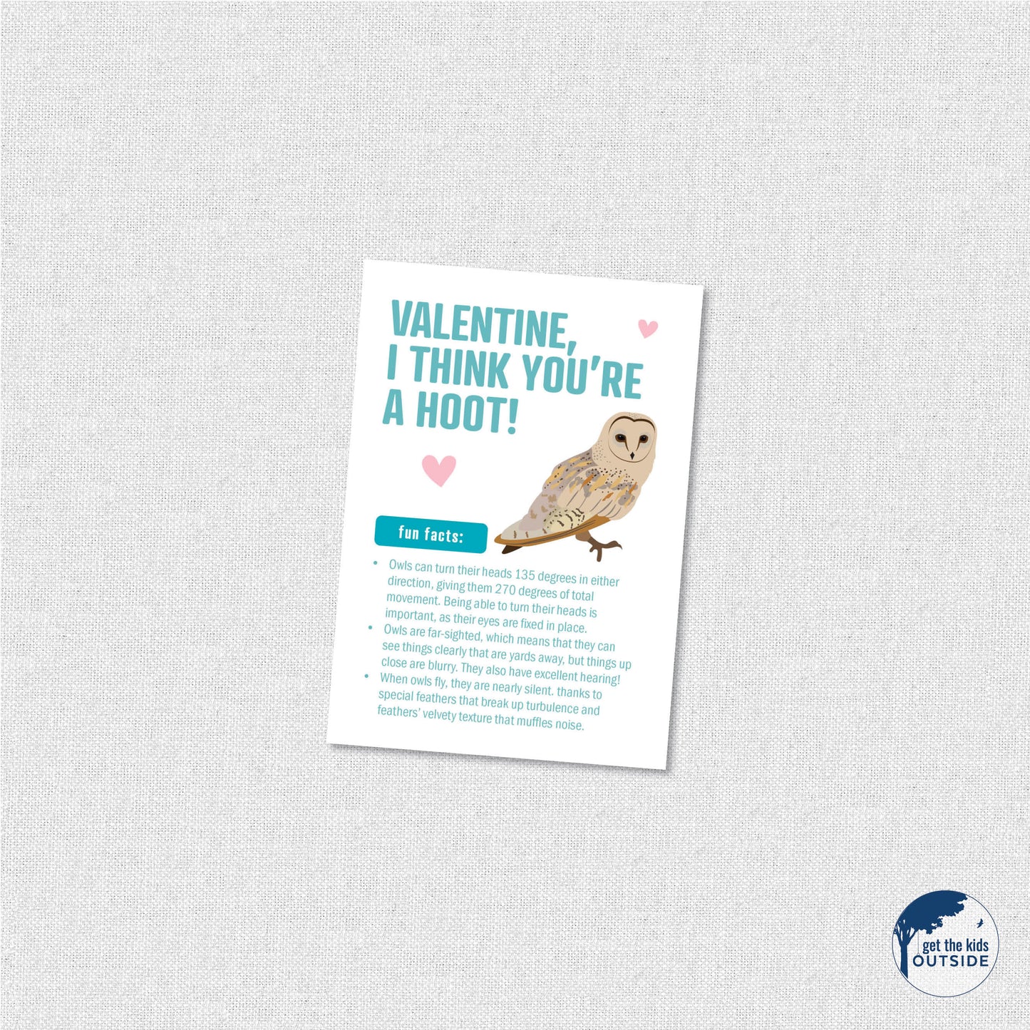 Valentines - Bird Fun Facts - printable