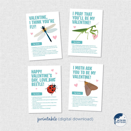 Valentines - Insects B - printable