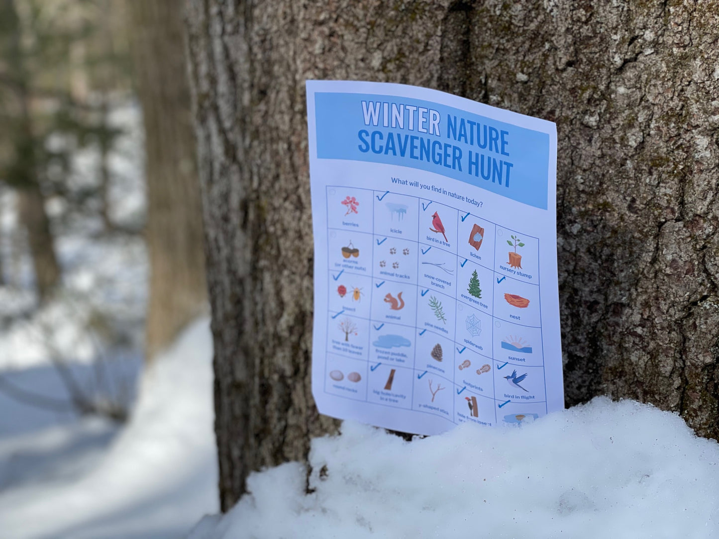 Winter Nature Scavenger Hunt