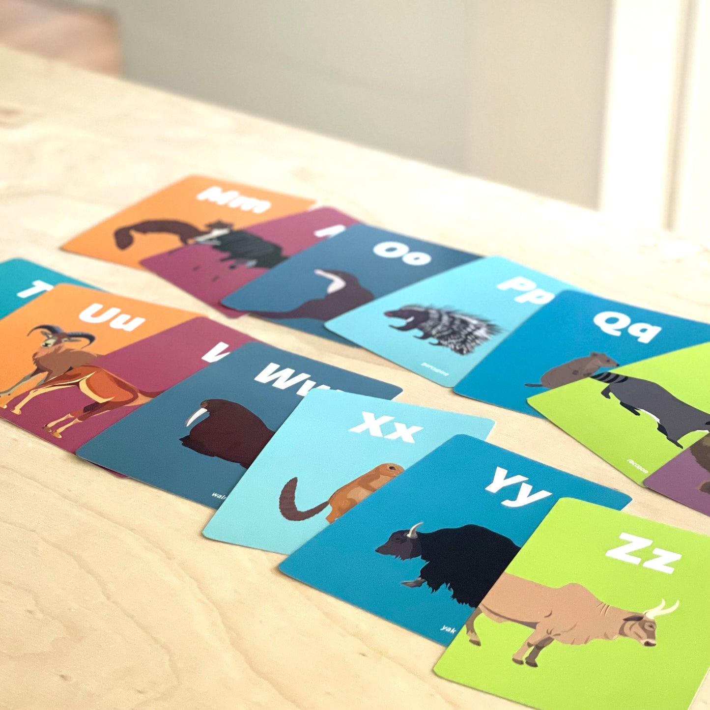 Animal Alphabet Flash Cards - Mammals