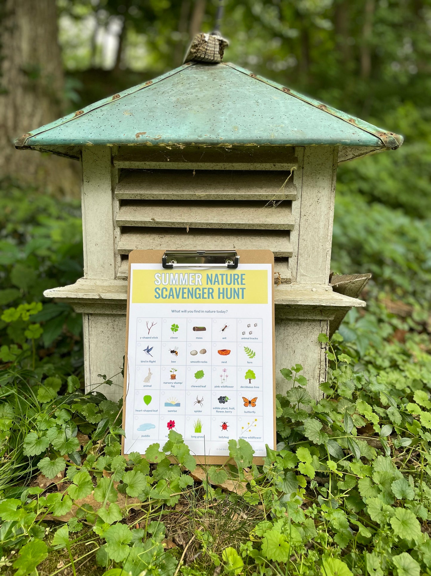 Nature Scavenger Hunt: Summer