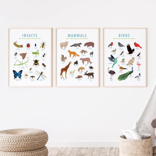 Collective Nouns Poster TRIO (insects, mammals, birds) - digital