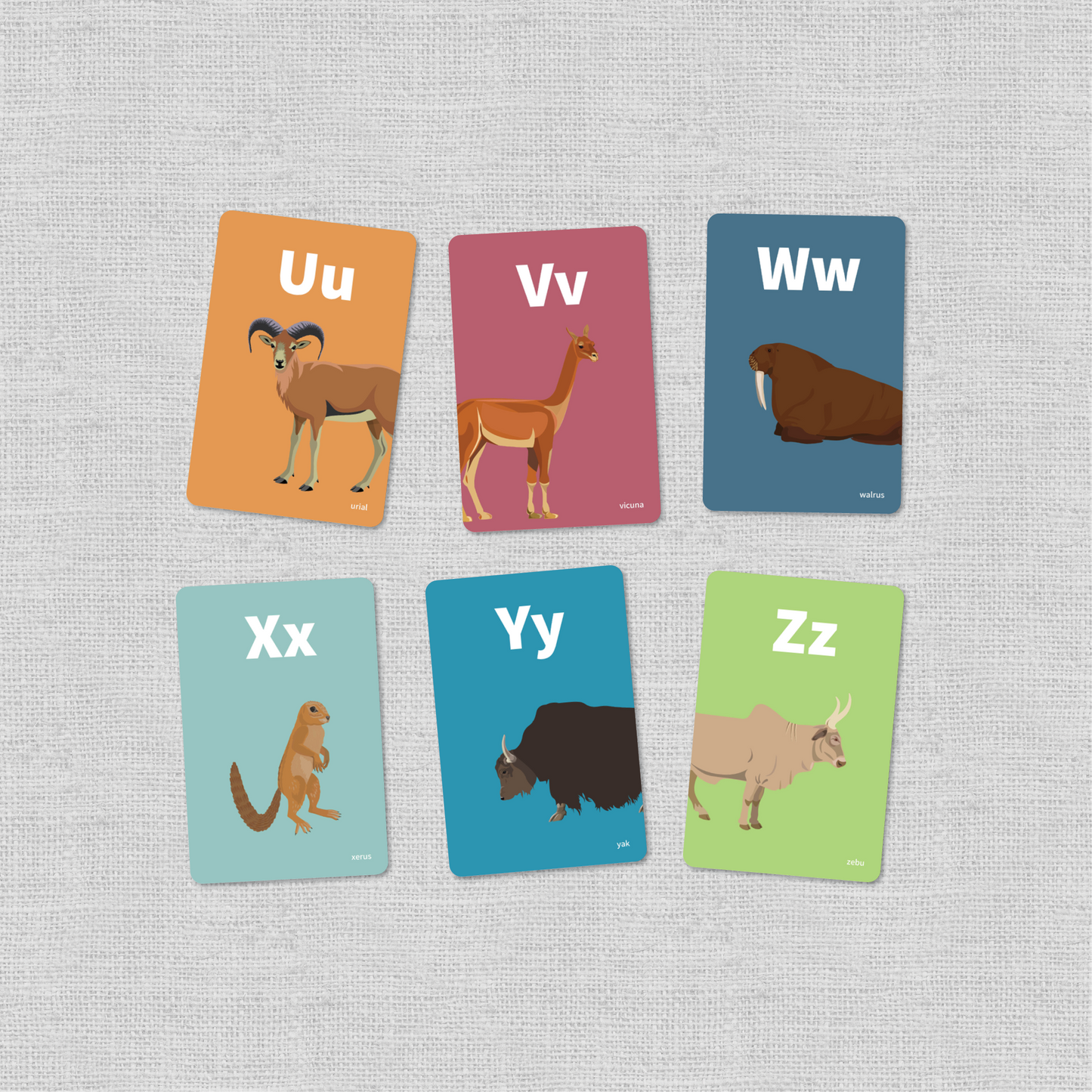 Animal Alphabet Flash Cards - Mammals