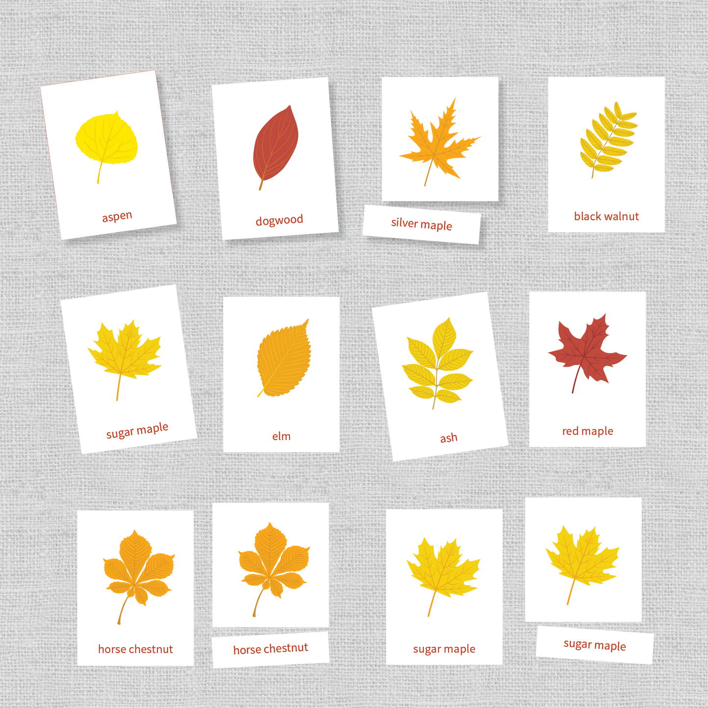 Autumn / Fall Outdoor Activity BUNDLE