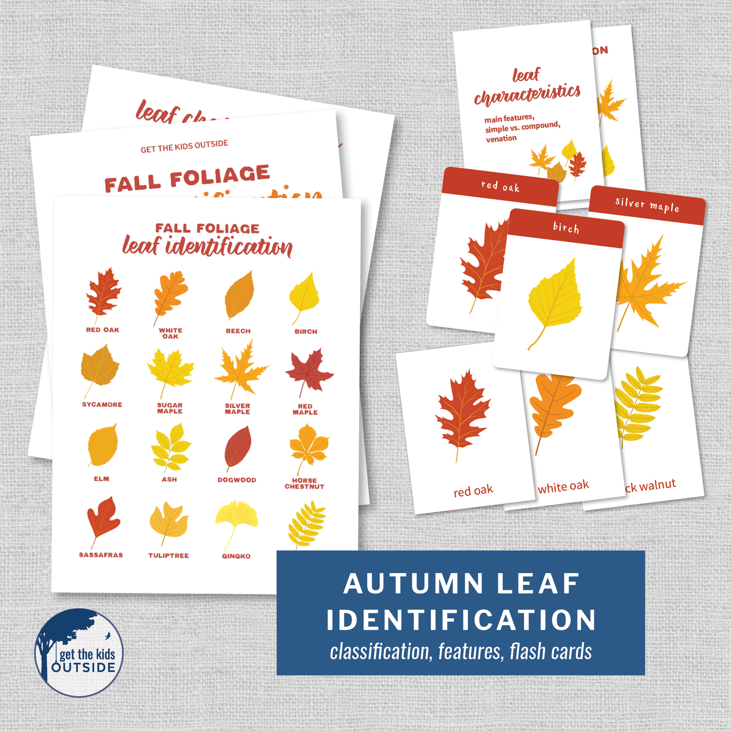 Autumn Leaf Identification Cards