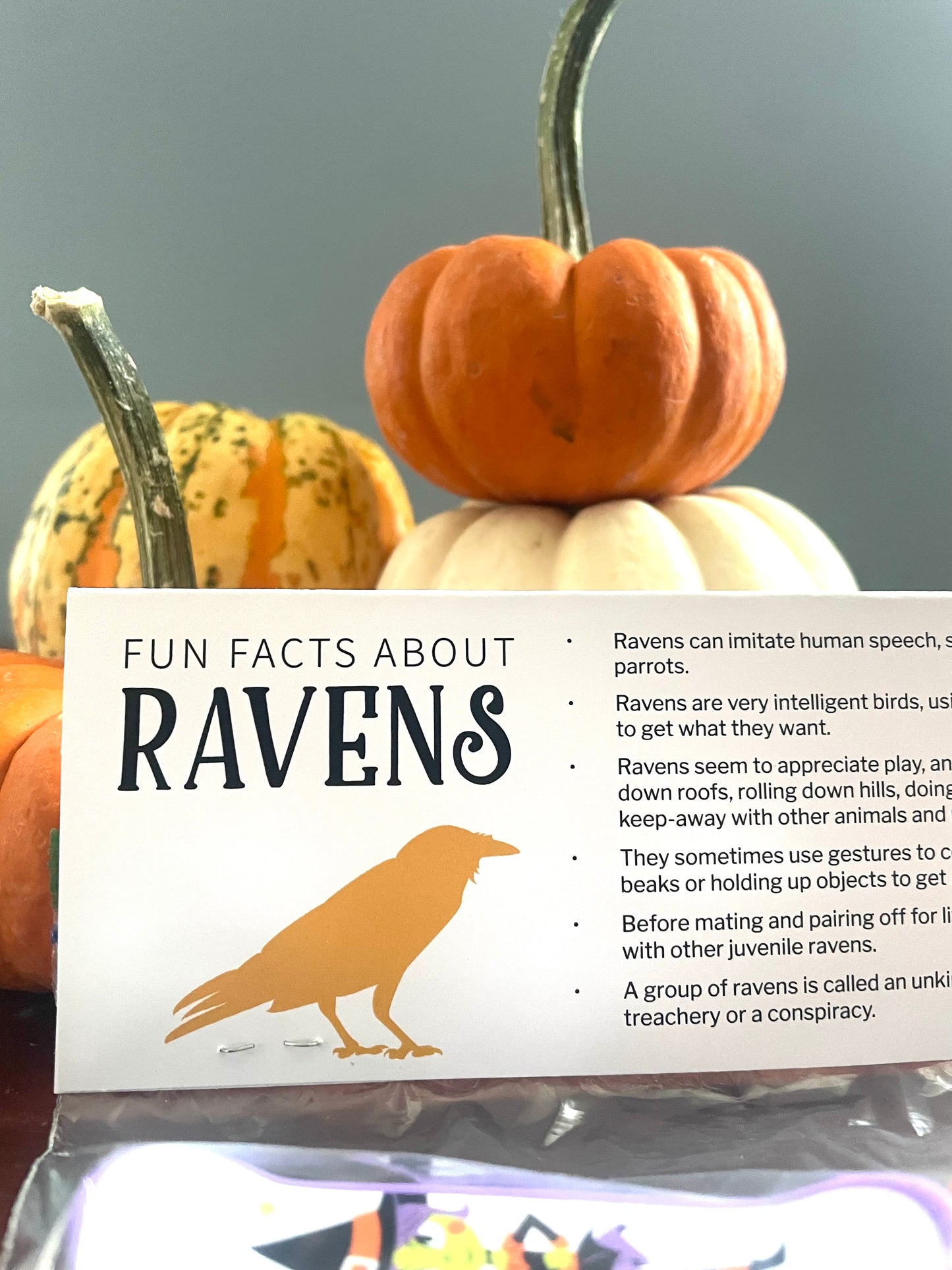 Halloween Boo Bag Toppers - Animal Fun Facts