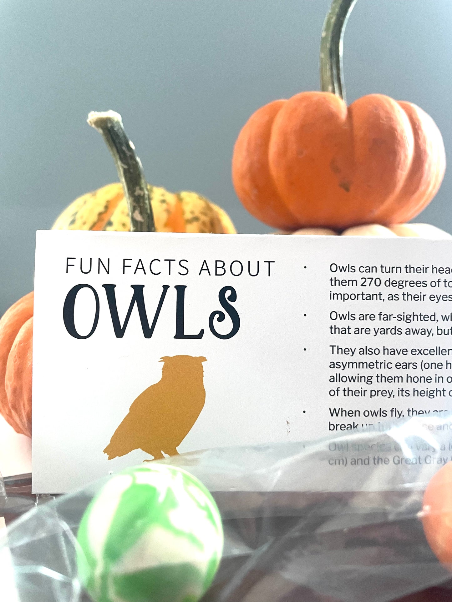 Halloween Boo Bag Toppers - Animal Fun Facts