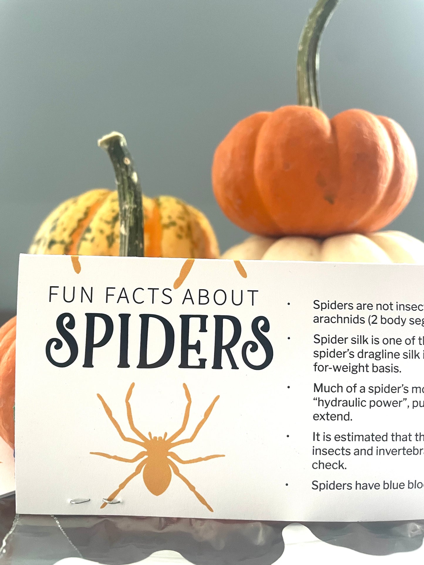 Halloween Boo Bag Toppers - Animal Fun Facts