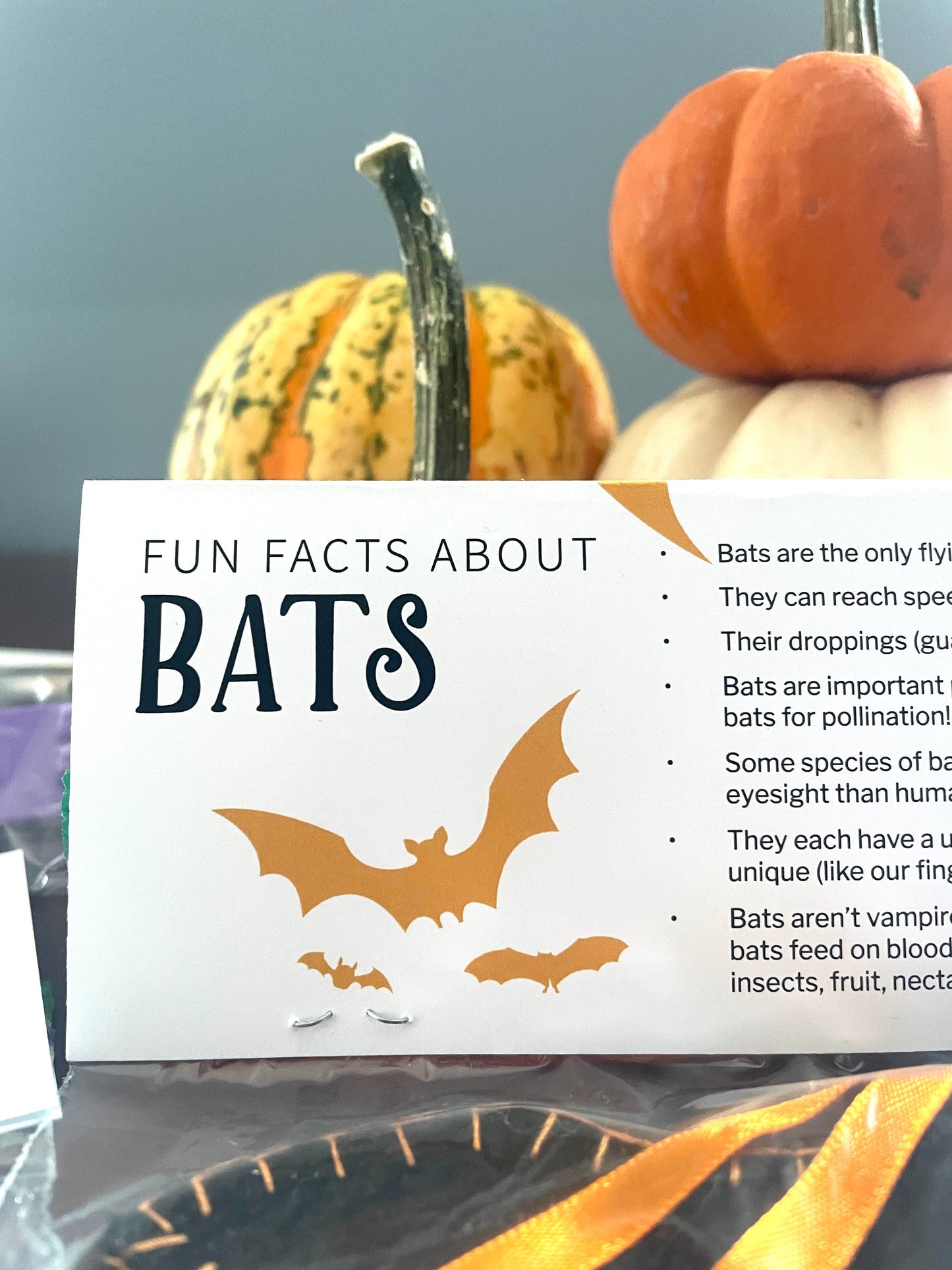 Halloween Boo Bag Toppers - Animal Fun Facts