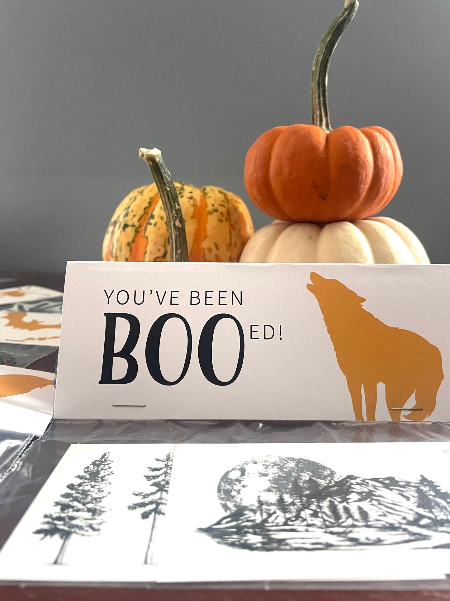 Halloween Boo Bag Toppers - Animal Fun Facts