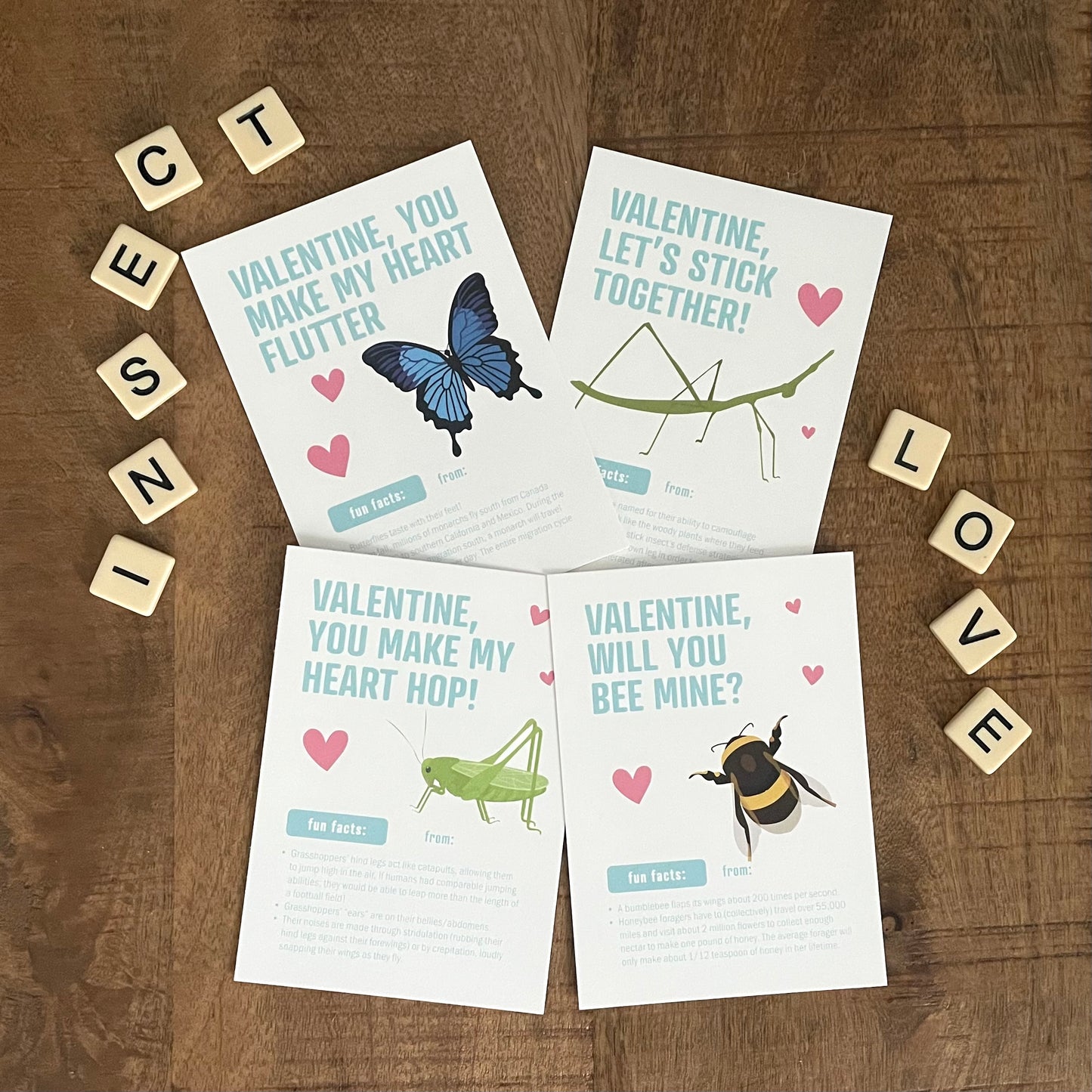 Valentines - Insects A - printable