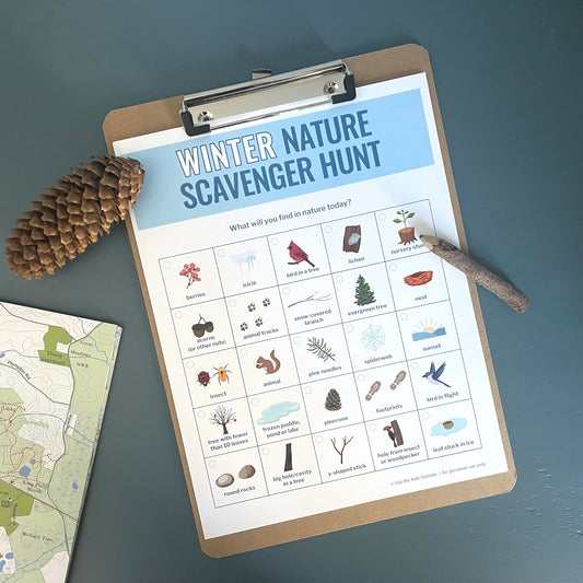 Winter Nature Scavenger Hunt