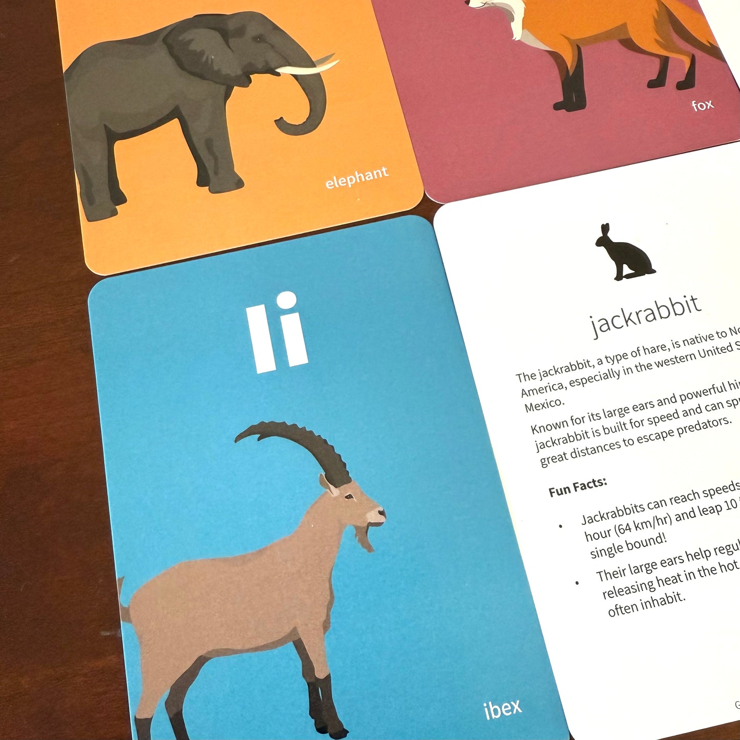 Animal Alphabet Flash Cards w/ Fun Facts - Printed