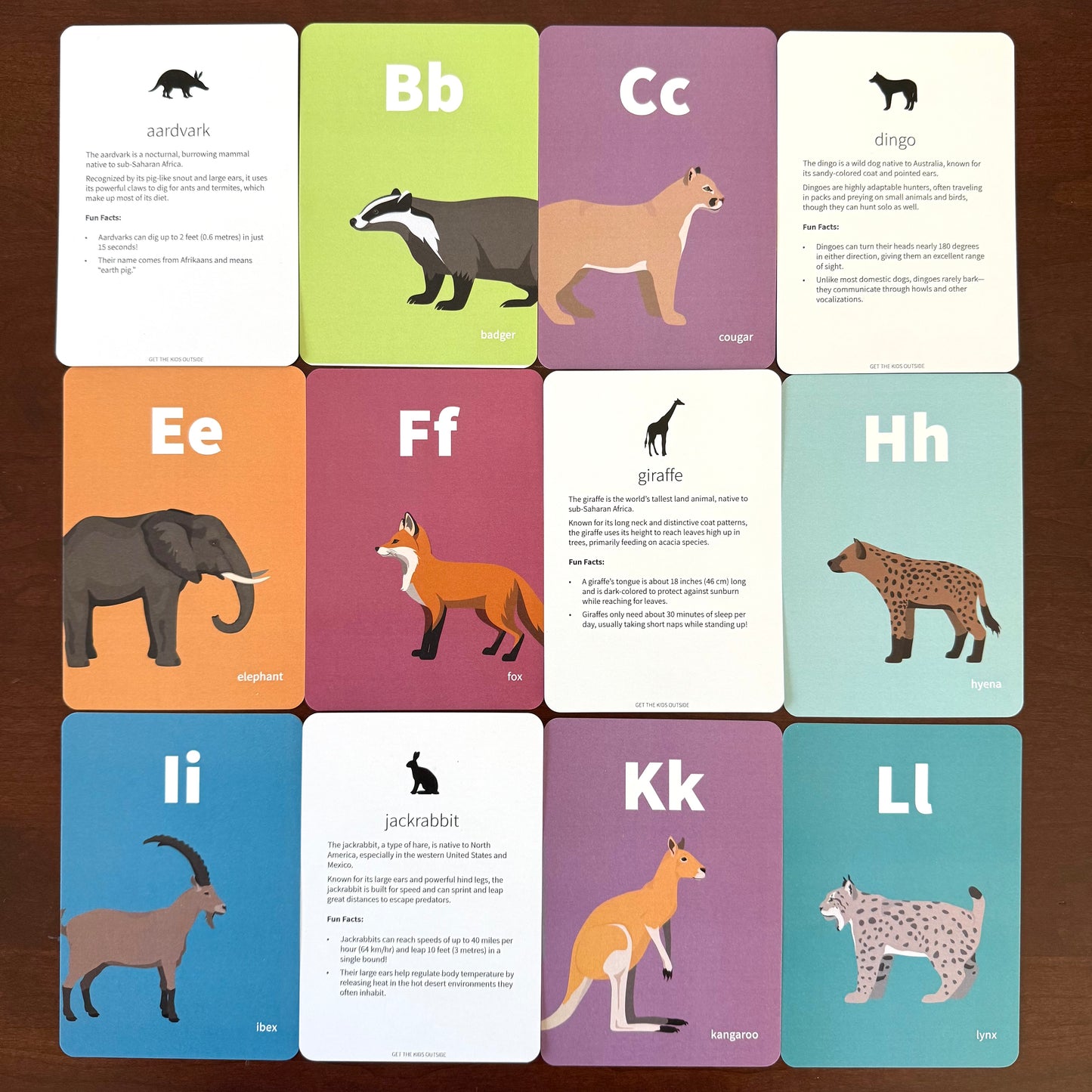 Animal Alphabet Flash Cards w/ Fun Facts - Printed