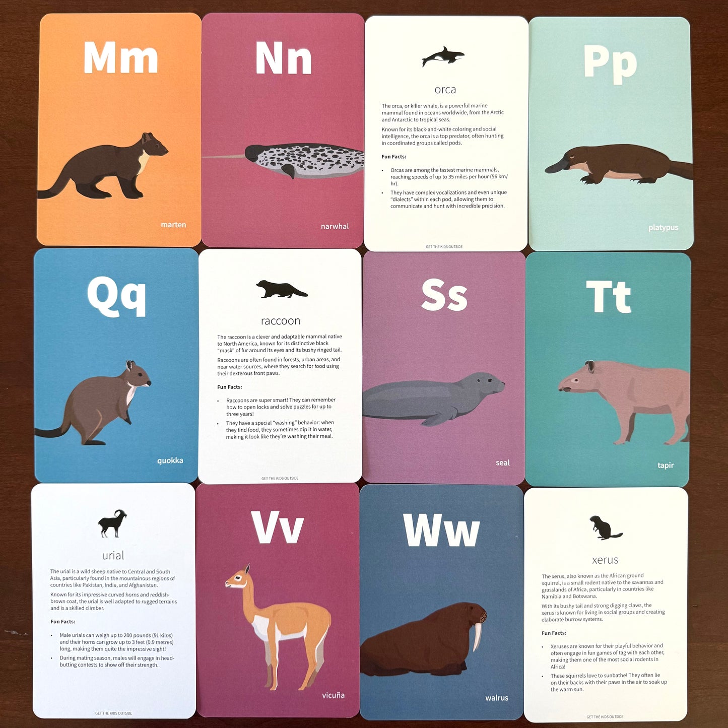 Animal Alphabet Flash Cards w/ Fun Facts - Printed