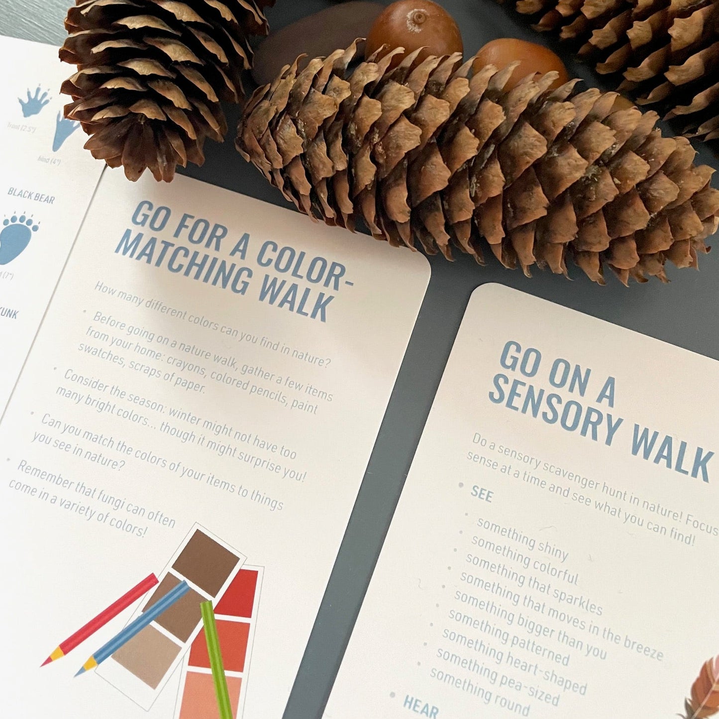 Winter Outdoor Activity Cards (printed)