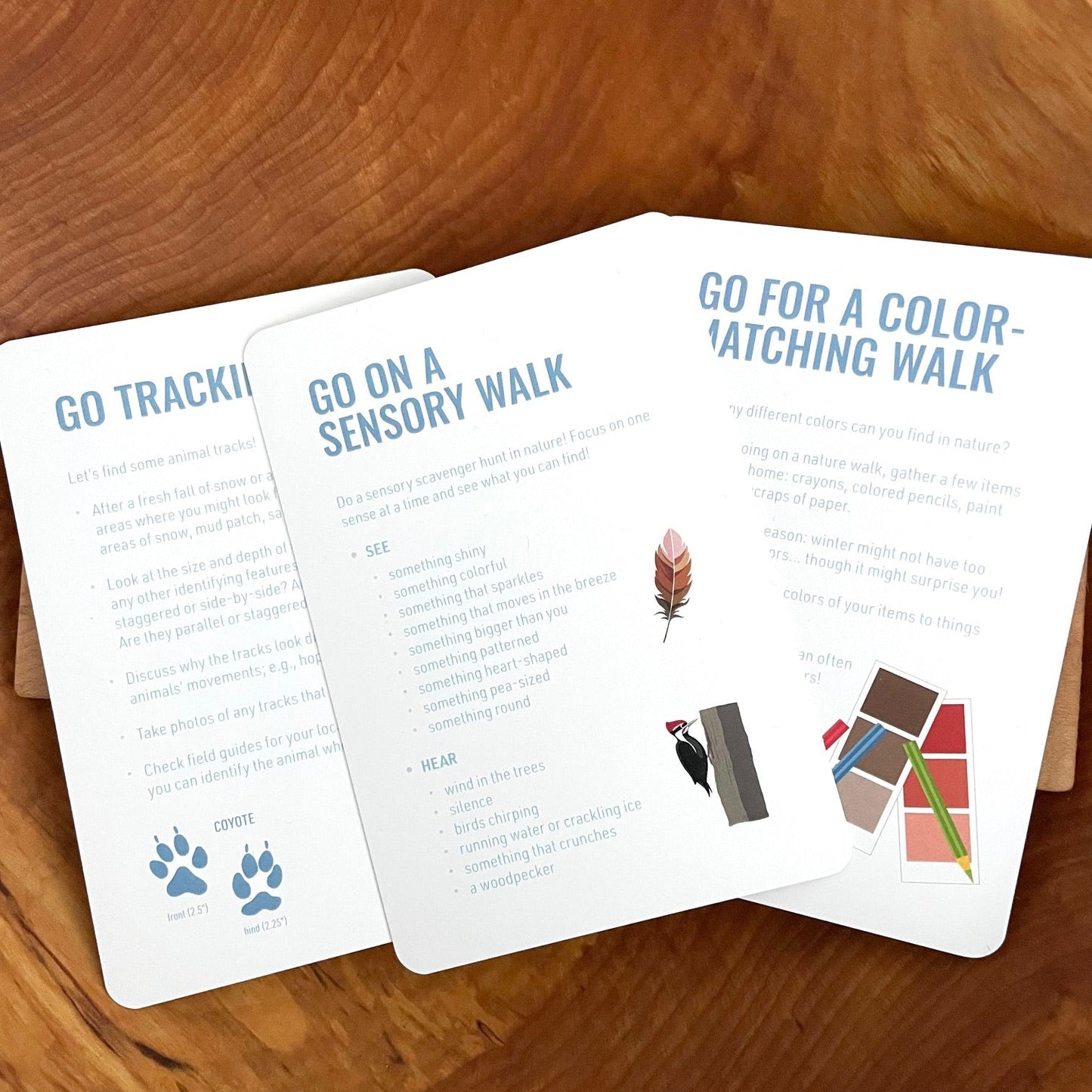 Winter Outdoor Activity Cards (printed)