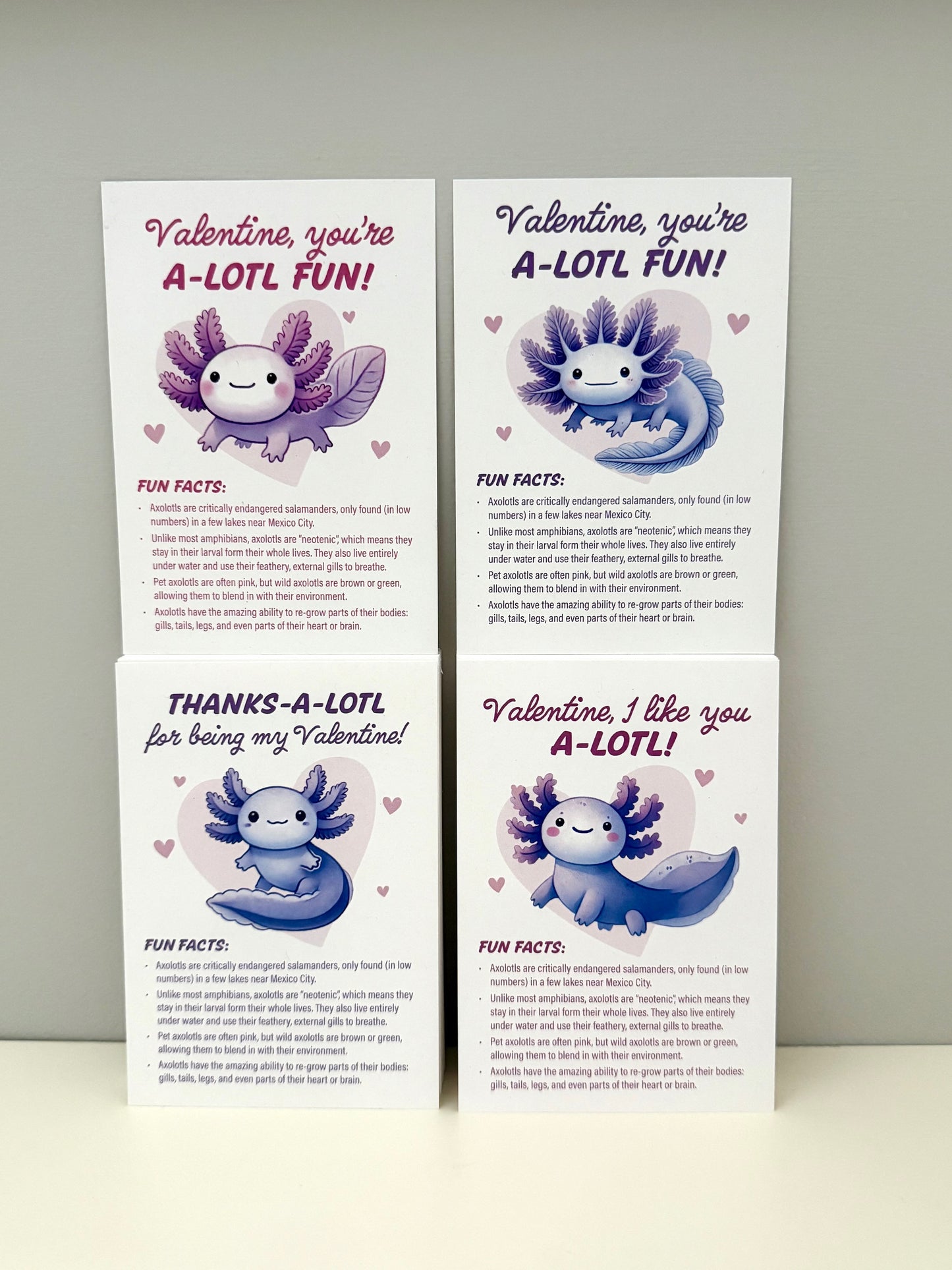 Valentines - Axolotl Fun Facts - printable