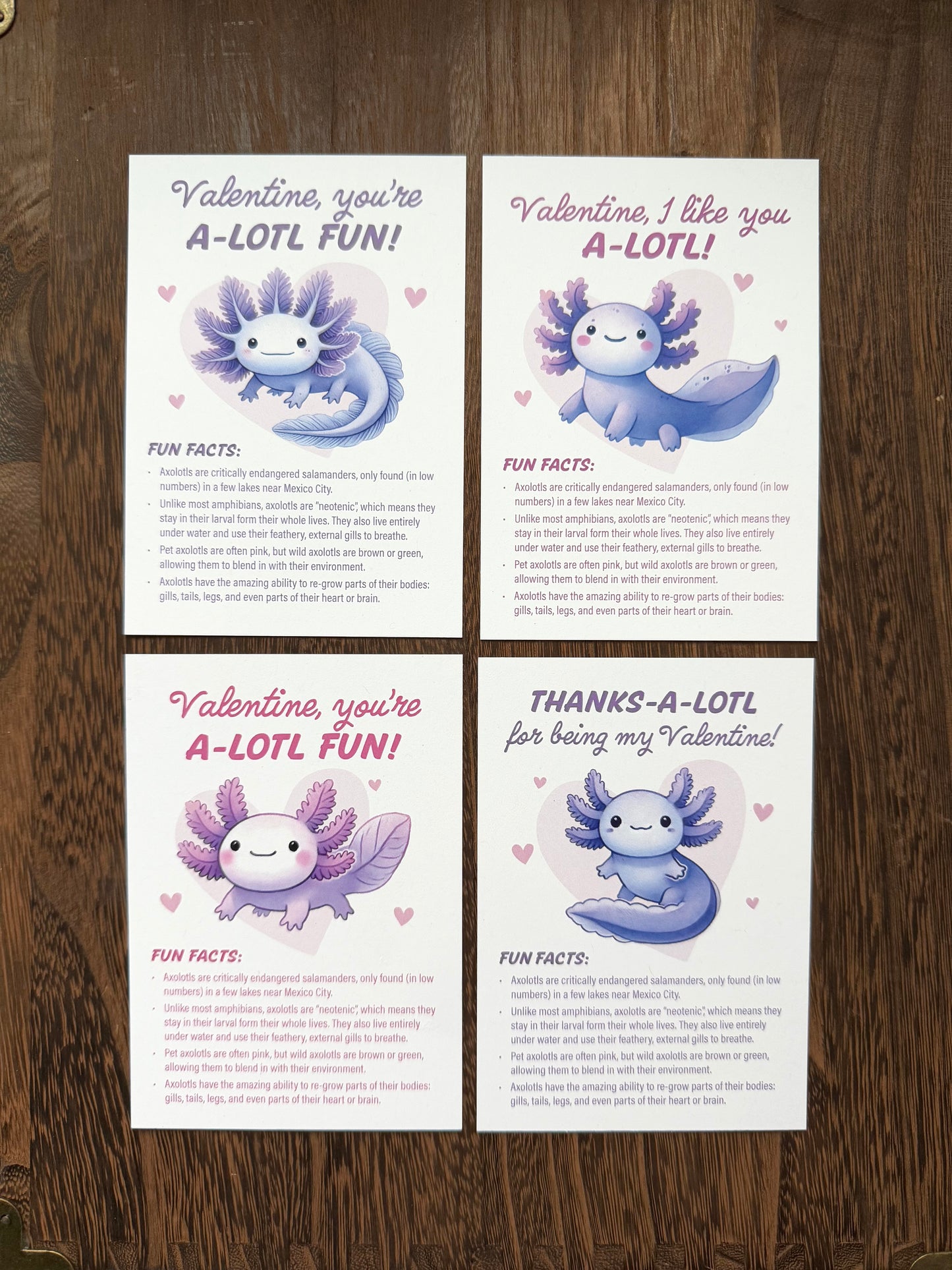 Valentines - Axolotl Fun Facts - printable