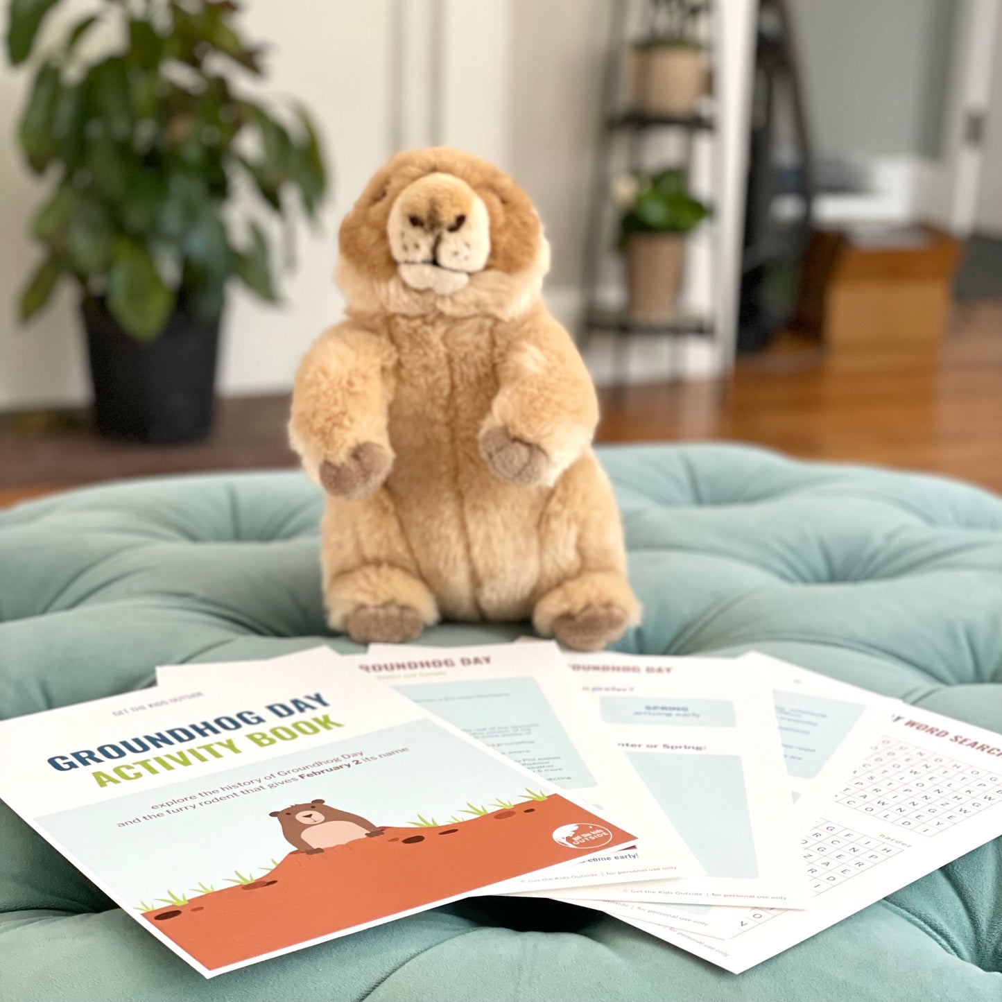 Groundhog Day Activity Pack