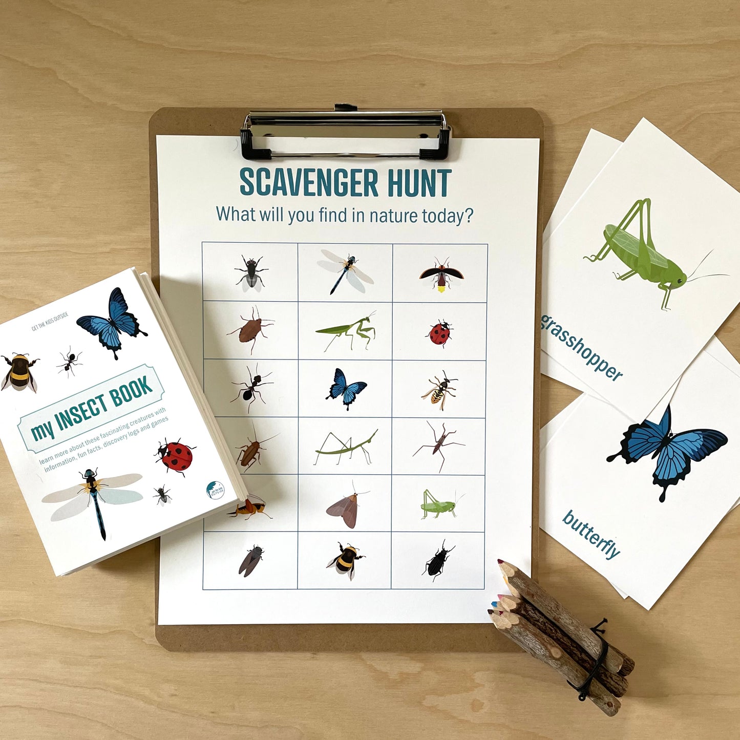 Nature Scavenger Hunt: Insects