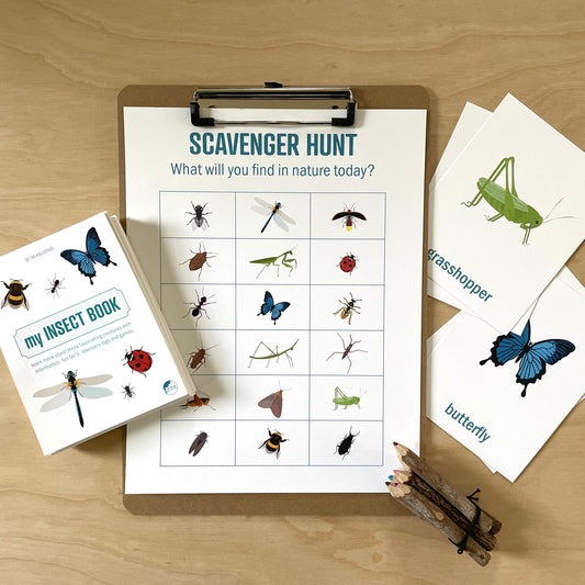Nature Scavenger Hunt: Insects