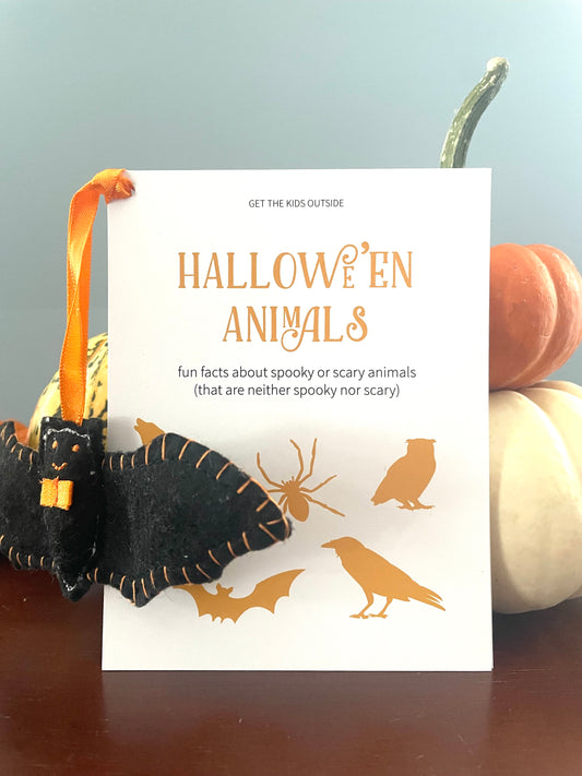 Halloween Animal Factlets; non-candy treat, plastic free favor, halloween favor, animal fun facts