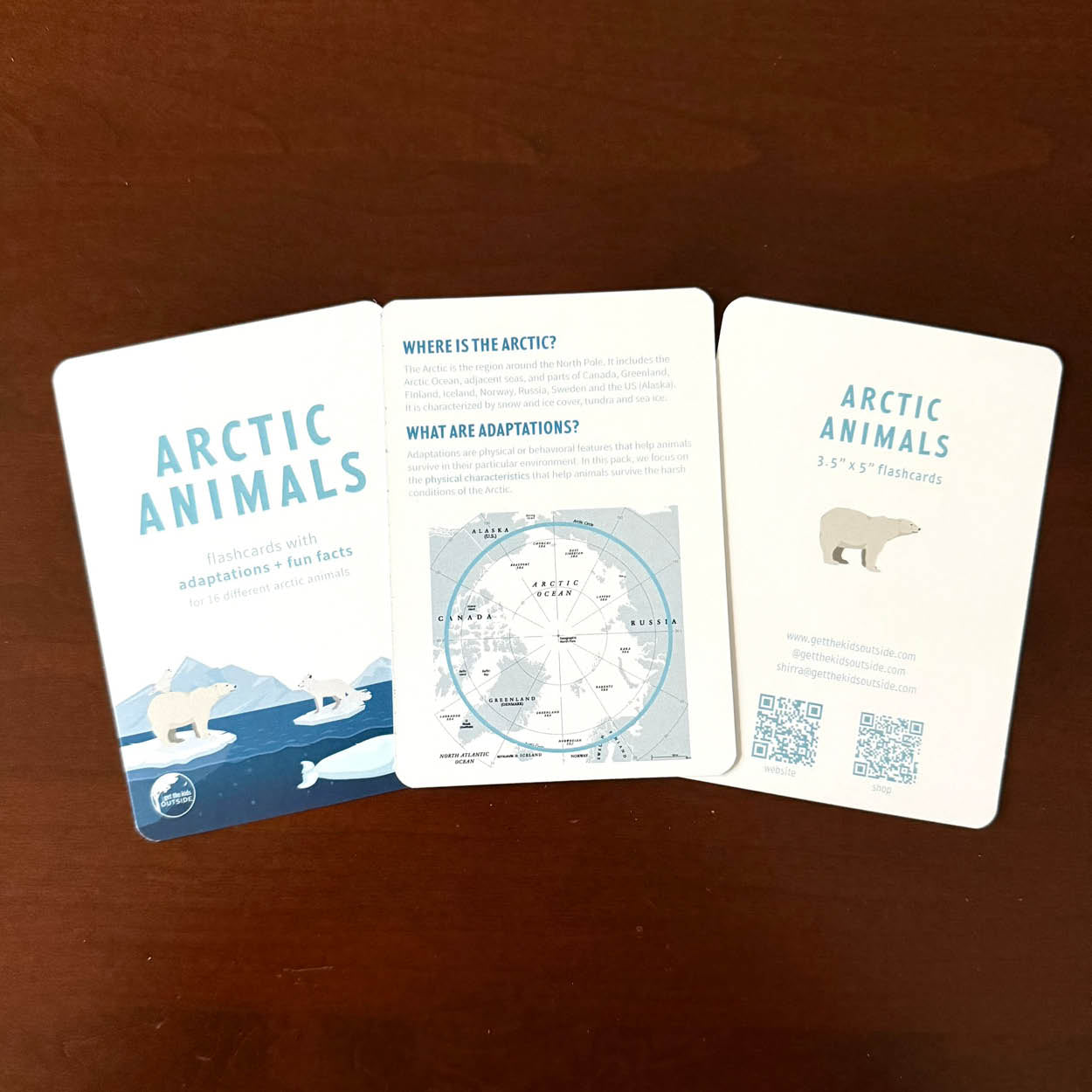 Arctic Animal flashcards w/ fun facts - printed