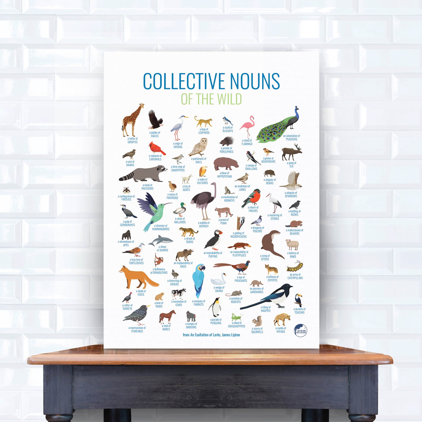 Collective Nouns Poster (Animals)