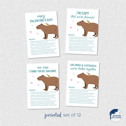 Valentines - Capybara Fun Facts - printed (set of 12)