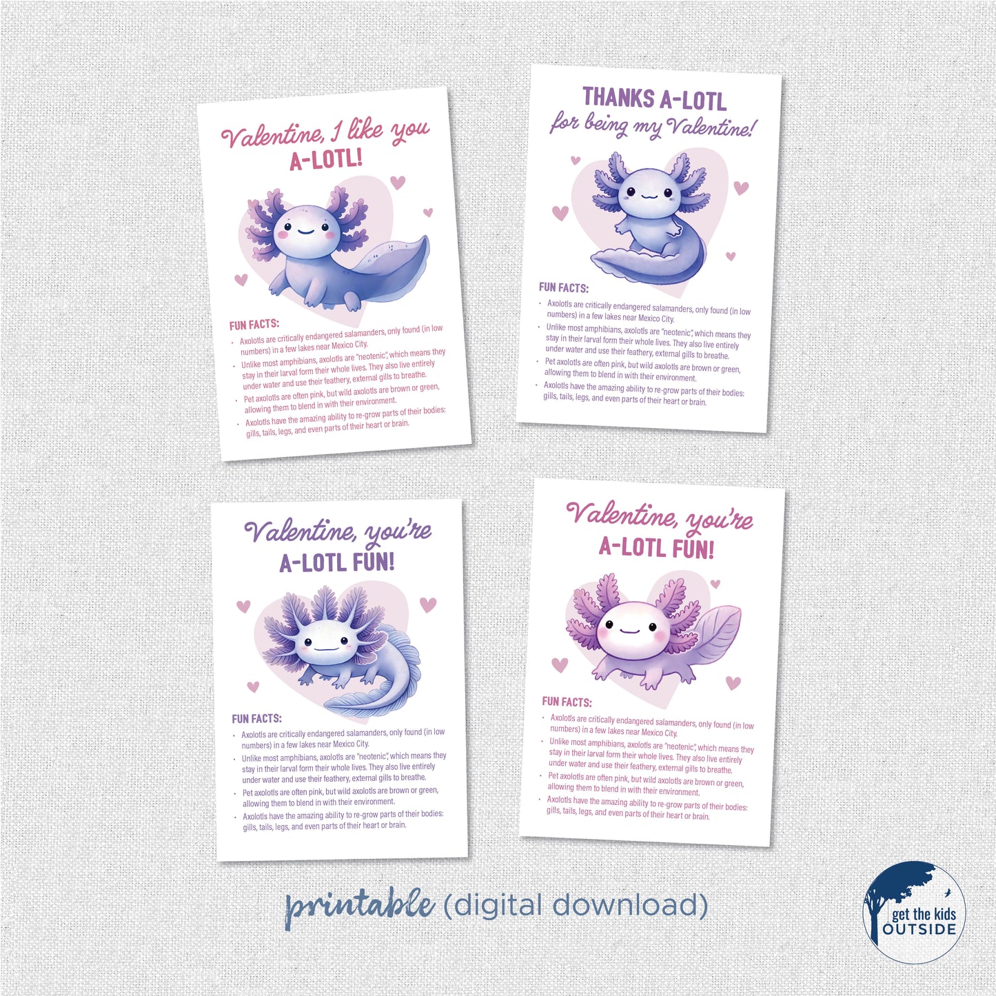 Valentines - Axolotl Fun Facts - printable